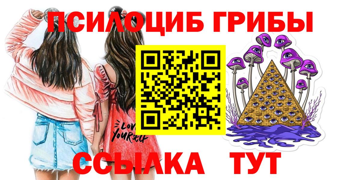 Псилоцибиновые грибы мухоморы  Галлюциногенные грибы мухоморы  даркнет сайт  Новодвинск  Вход с VPN 