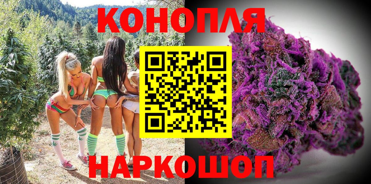 Конопля план Новодвинск